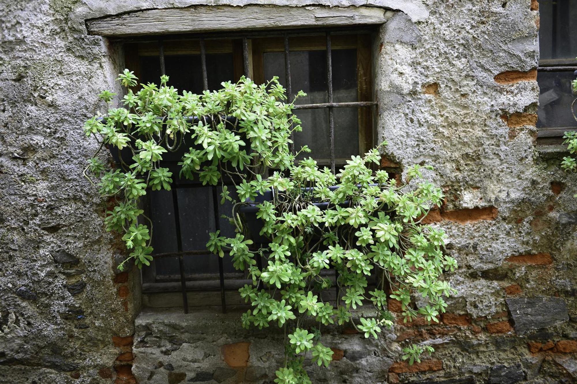 A Casa Di Sole Brovello Appartement Buitenkant foto
